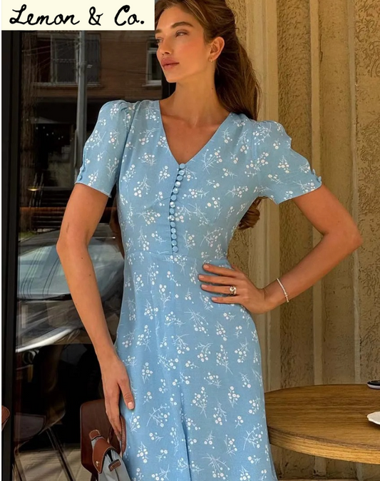 CORA BLUE FLORAL PRINT DRESS